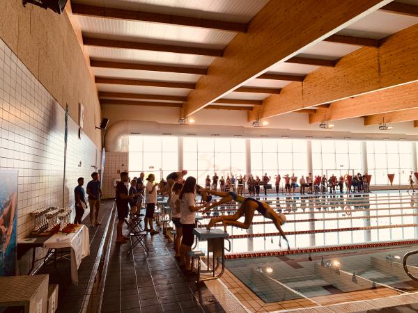 Más de 200 nadadores en el Campeonato Intercentros de Aqualia celebrado en Villena