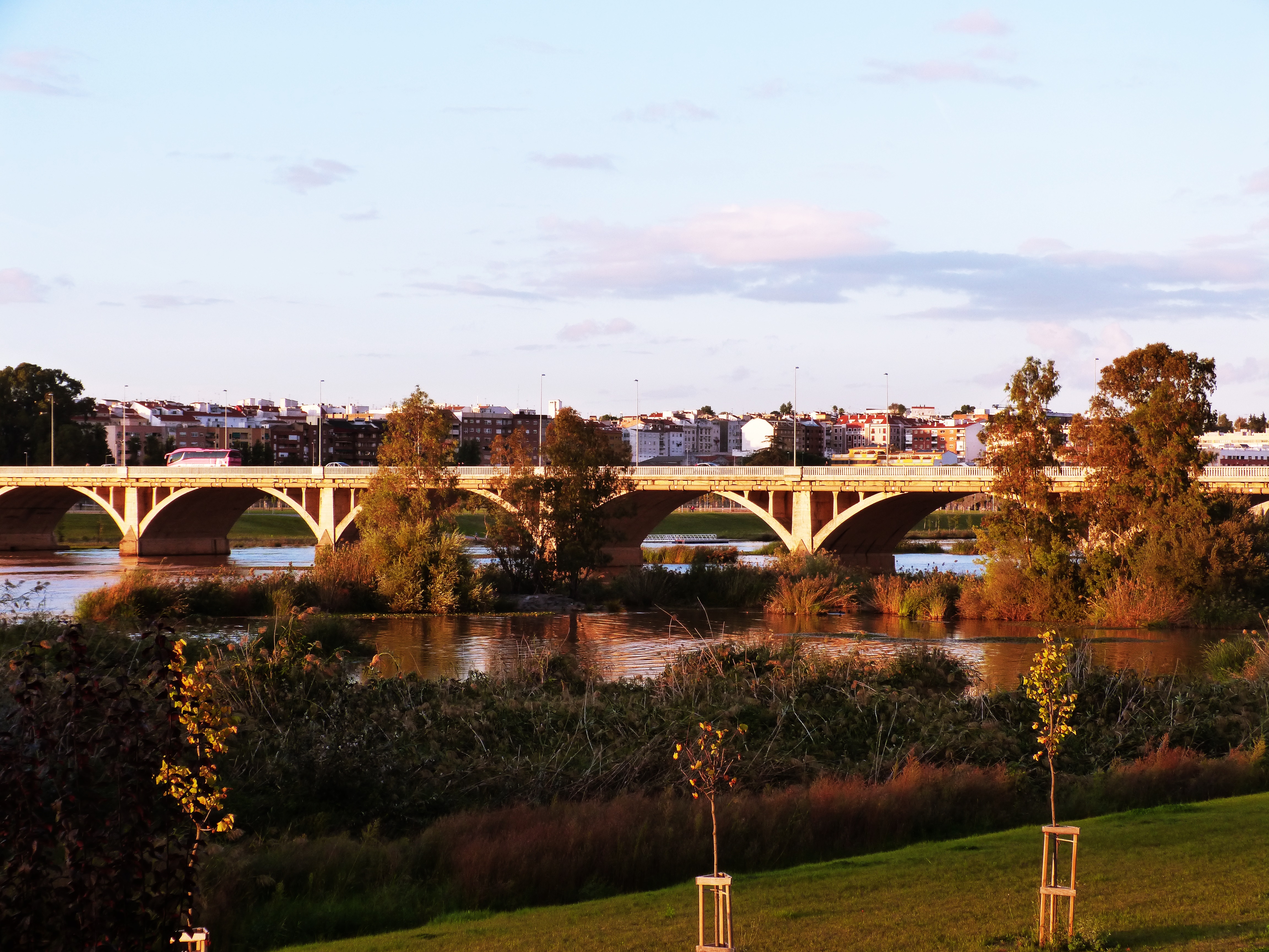 Avería en Av. Adolfo Díez Ambrona (Badajoz)