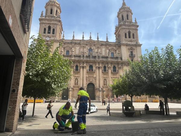 Más de 2.000 horas de trabajo para extraer 1 millón de litros de residuos de los imbornales de la ciudad de Jaén